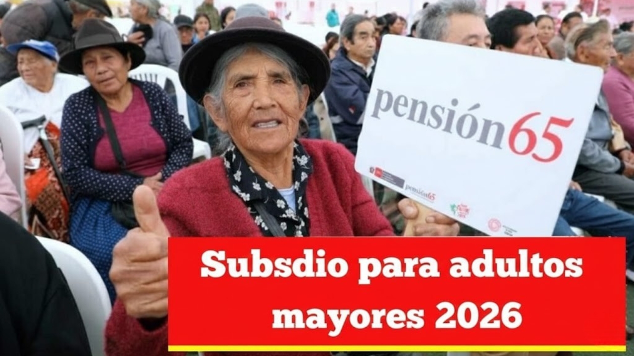 Subsidio para adultos mayores 2026: requisitos, inscripción y calendario oficial de pagos